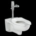 American Standard 2257.528.020 Afwall Universal Floor Mount Toilet Bowl and 1.28 Gpf Selectronic Flush Valve - B004YKDRN4